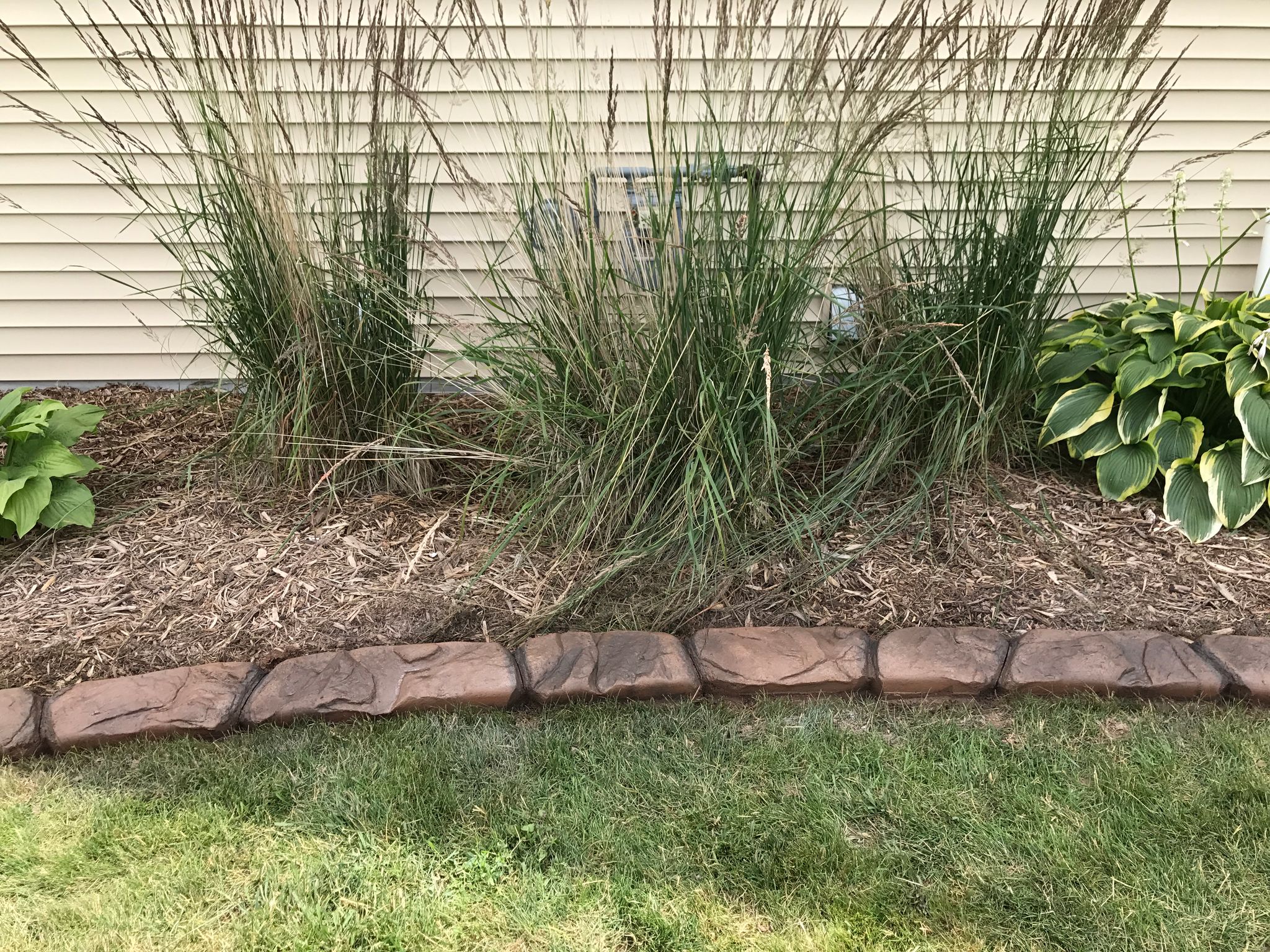 northern colorado concrete curbing