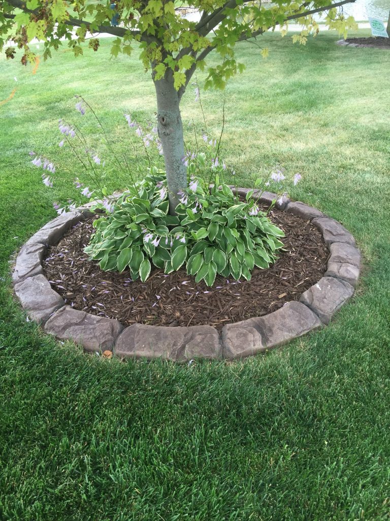 northern colorado concrete curbing